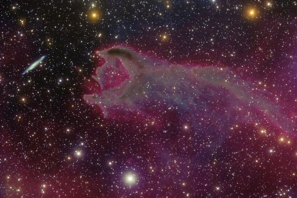 Cometary Globule (CG) - 4
"...Esistono molte forme di Consapevolezza. Ci sono dei momenti, in cui si è più sensibili, in cui il proprio intuito è più vasto e profondo. Uno dei poteri dell’Arte è rendere più grande e profonda, in modi diversi, la Consapevolezza di una persona, che si tratti di Consapevolezza Estetica, Morale o Mistica. Questa è una funzione anche della Scienza e della Filosofia: favorire forme di Consapevolezza intellettuale più ampie e profonde. Una persona ha degli stati d’animo, o degli umori, nei quali la Consapevolezza sembra espandersi e farsi più comprensiva, accogliente, generosa, sensibile e anche particolareggiata, mentre in altre occasioni sembra restringersi. L’educazione andrebbe considerata come educazione alla Consapevolezza, e non solo come l’insegnamento delle varie professioni. 
Ogni contatto umano ha il potenziale di cambiare la Consapevolezza, perché ci s’imbatte in una concezione ed una costruzione del mondo diverse dalla propria..."

Oliver Sacks

Caption originale:"The odd looking "creature" in the center of the above photo is a gas cloud known as a cometary globule. This globule, however, has ruptured. Cometary globules are typically characterized by dusty heads and elongated tails. These features cause cometary globules to have visual similarities to comets, but in reality they are very much different. Globules are frequently the birthplaces of stars, and many show very young stars in their heads. The reason for the rupture in the head of this object is not completely known. The galaxy to the left of center is huge, very far in the distance, and only placed near CG4 by chance superposition".
Parole chiave: From Earth Images