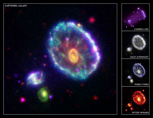 The "Cartwheel Galaxy"
"...La frase più ricorrente è “I virus non sono né forme di vita né materia inanimata”. Non è proprio ortodosso definire un’entità  dicendo ciò che non è… Cosa se ne ricava? Non sono organismi biologici, non si riproducono e non si evolvono autonomamente, ma sono composti di materia, che però è dotata di mobilità. In parole povere, i virus sono delle macchine..."

Alessio Feltri
Parole chiave: From Space Images - SST