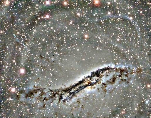 Centaurus "A"
"Our 'Perfect Companions' never have fewer than four feet"

Colette
Parole chiave: From Earth Images
