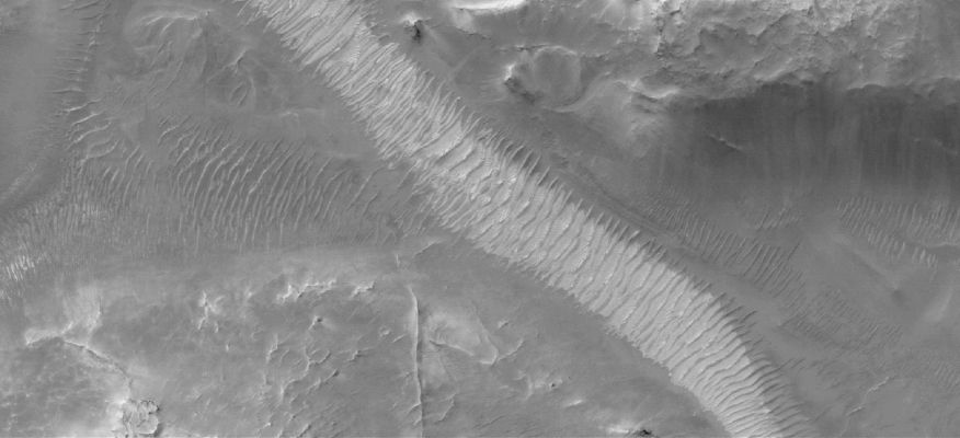 Auqakuh Vallis: "Old Riverbed" or "Windblown Ripples"? (Original NASA/MGS/MSSS b/w Frame)
Caption NASA originale:"This MGS-MOC image shows windblown ripples on the floor of Auqakuh Vallis. 
The light-toned area, running diagonally across the scene from South-West to North-East, may be dust that has accumulated in the bottom of the valley and on top of the ripples".  

Location near: 31,3° North; 299,3° West
Image width: ~3 Km (~1,9 mi)  
Illumination from: lower left  
Season: Northern Spring
Parole chiave: Mars from orbit - Auqakuh Vallis Region