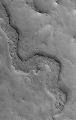 Inverted channels of Arabia Terra (1 - Original NASA/MGS/MSSS b/w Frame)
Original caption:"This MGS-MOC image shows a somewhat sinuous, nearly flat-topped Ridge, located in Eastern Arabia Terra. The ridgetop was once the Floor of a Valley, perhaps carved by running water. The Valley Floor, or material that covered the Floor, was more resistant to erosion than the surrounding rock into which the Valley was cut. Thus, over time, the Valley disappeared and its Floor was left standing high as a Ridge. Inverted Valleys are common on Mars, but they also occur on Earth". 

Location near: 10,8° North Lat. and 313,2° West Long.
Image width: width: ~3 Km (~1,9 mi)
Illumination from: lower left 
Season: Northern Winter
Parole chiave: Mars from orbit - Channels - Inverted Channels