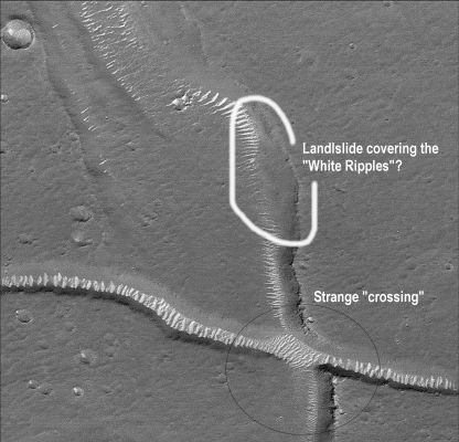 White Ripples and Landslide (2 - Original NASA/MGS/MSSS b/w Frame)
Alla NASA non hanno dubbi: le "creste" di color chiaro che coprono il fondo della quasi totalità dei letti degli antichi fiumi e torrenti Marziani, non sono altro che dune di sabbia "indurita" e levigata dal vento il quale, attraverso refoli e correnti ascendenti e discendenti - ed a prescindere dalla direzione principale dalla quale soffia - modella con maestria il fondo dei letti asciutti di questi canali.
Che dire? La risoluzione di questa immagine - come di tante altre che potrebbero essere di aiuto ai Ricercatori - è pessima e quindi...

Dobbiamo aspettare ancora ma, nel frattempo, guardate bene questo dettaglio del frame: il punto di incrocio fra i due maggiori "troughs" (in basso a Dx) non Vi sembra che abbia qualche "lacuna prospettica"? Come si incrociano, di fatto ed in relazione alla piana alla quale accedono, i due letti asciutti? C'è qualcosa che non va?!?...
Parole chiave: Mars from orbit - Troughs and ripples