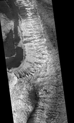 Sample scarp edge in layered unit in Melas Chasma or... Frozen Waterfalls on Mars? (1)
Muovendoci sulla strada indicata dal Dr J.P. Skipper (Mars Anomaly Research), abbiamo visitato il seguente indirizzo: www.msss.com/moc_gallery/m07_m12/images/M11/M1100111.html
ed abbiamo prelevato l'immagine (o la 'striscia', se preferite) "MGS-MOC Narrow-Angle Image M11-00111" che vedete in questo primo frame. Come per la maggior parte delle immagini MGS-MOC, è difficile notare qualcosa "a prima vista" (a parte l'assoluta enigmaticità del paesaggio ripreso...), a meno che non si sappia esattamente dove andare a guardare. Noi, grazie al lavoro già svolto dal Dr Skipper, lo sapevamo ed allora, con un pizzico di pazienza e di buona volontà, siamo andati a recuperare i dettagli di qualcosa che 'sembra' essere un vero e proprio sistema di cascate gigantesche e...Completamente ghiacciate. L'immagine originale è enorme per le nostre capacità e quindi abbiamo dovuto 'spezzarla' in tre sezioni, una più spettacolare dell'altra.
Dal prossimo frame, inizieremo fornendoVi alcuni dati tecnici di assoluta importanza.
Parole chiave: Mars from orbit - controversial image