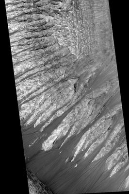 Sample scarp edge in layered unit in Melas Chasma or... Frozen Waterfalls on Mars? (3)
Prima di entrare nel dettaglio dei commenti (che svolgeremo avvalendoci di qualche ingrandimento delle aree più controverse di questa Regione), Vi invitiamo ad andare a controllare direttamente il frame MGS originale (o la 'striscia', se preferite...) all'indirizzo che Vi abbiamo fornito con la prima sezione di questo panorama Marziano. In effetti, per capire quanto sia difficile svolgere attività di ricerca in questo campo noi riteniamo importante che Voi Lettori guardiate anche l'insieme, cioè la 'totalità', e non solo la singola 'porzione'.
Perchè?
Perchè, la maggior parte delle volte, quello che distingue un semplice e diffuso (ma non particolarmente intenso) interesse da una passione che, con il tempo, può diventare un lavoro, è proprio la capacità di intuire e cogliere - prima - e di vedere ed elaborare - poi - usando una 'striscia' simile a migliaia di altre, quel dettaglio che, un giorno, potrebbe aver costituito uno dei primi mattoni nella costruzione dell'Edificio della Nuova (e "Libera") Scienza.
Parole chiave: Mars from orbit - controversial image