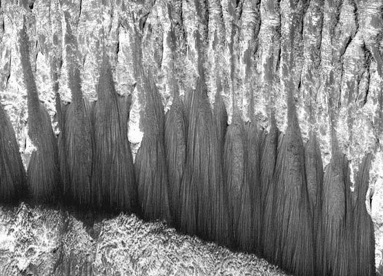 Sample scarp edge in layered unit in Melas Chasma or... Frozen Waterfalls on Mars? (4)
Avete mai visitato le Grotte di Postumia o le Carlsbad Caverns? 

Se non ci siete mai stati, Vi suggeriamo di andarne a vedere almeno una (le Grotte di Postumia sono vicine, in Slovenia, a poco più di un'ora di macchina dal confine); se la risposta è 'si', invece, allora siamo certi che non Vi sarà sfuggita la somiglianza fra queste enormi strutture che vengono riprese dalla Sonda MGS (e che Vi proponiamo - debitamente ingrandite - in questo frame e nei due successivi) e le grandi 'colonne' che ricoprono una buona parte delle pareti delle due splendide grotte che abbiamo prima menzionato. Il lento sgocciolare di un'acqua ricchissima di minerali ed il tempo, nel caso di Postumia e di Carlsbad, ha creato una versione 'in miniatura' di quello che vediamo in questi frames MGS. 

Si tratta, come suggerisce il Dr Skipper, di 'cascate ghiacciate'? Noi ne dubitiamo, sinceramente, ma che si tratti di rilievi i quali meritano una grandissima attenzione, a noi sembra un dato evidente.
Parole chiave: Mars from orbit - controversial image