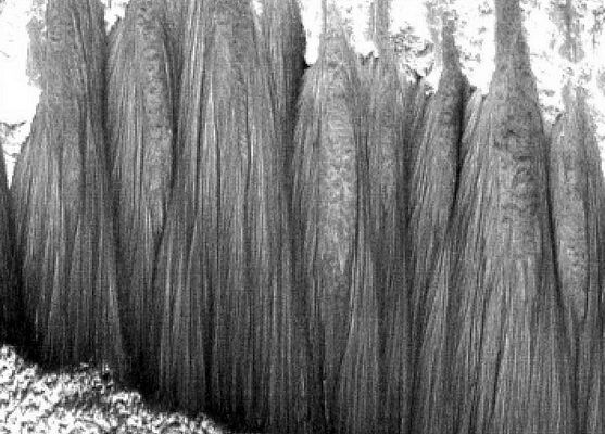 Sample scarp edge in layered unit in Melas Chasma or... Frozen Waterfalls on Mars? (5)
No, come dicevamo precedentemente questi rilievi NON SONO - a nostro umile parere - l'evidenza di "cascate congelate".

Il congelamento di una massa d'acqua quale può essere quella di un sistema di ciclopiche cascate (cascate dinanzi alle quali le 'Niagara Falls'  farebbero la figura dei 'ruscelletti'...) verrebbe a generare, a nostro parere, un rilievo sostanzialmente diverso rispetto a quello che vediamo in questi frames.

E allora?

E allora quello che abbiamo davanti potrebbe davvero essere, sia pure in versione macro, quello che appare nelle Grotte che citavamo in sede di commento al frame precedente: colonne di minerali, originariamente disciolti (in percentuali elevatissime) nell'acqua corrente i quali, nelle ere, si sono solidificati ed hanno generato queste incredibili strutture le quali, dopo essere state viste ed esaminate, hanno lasciato di sasso quasi tutti i Ricercatori del Mondo.
Diciamo 'quasi', perchè gli Scienziati ed i Ricercatori NASA non hanno MAI dato peso a queste immagini ed a ciò che esse sembrano rappresentare: un'Opera della Natura ancora più enigmatica dei Canyons che caratterizzano la Valles Marineris, delle 'Black Dunes' delle aree polari, sub-polari e presso-polari, dei crateri 'squadrati', dei cosiddetti 'Sun-Bathers', della Sfinge e delle Piramidi (o presunte tali) di Cydonia Mensae e di tantissimi altri rilievi Marziani che affascinano ed impressionano l'immaginario di milioni di Appassionati.

Si, queste strutture indecifrabili, che fanno rabbrividire al solo pensiero (pensate alle loro dimensioni ed a quello che proveremmo osservandole da distanza ravvicinata...), hanno affascinato proprio tutti, ad eccezione della NASA e dei suoi 'Scienziati' i quali, semplicemente, hanno ignorato questi frames e li hanno 'asetticamente' rubricati come semplici 'esempi di bordi di scarpate accedenti a complessi stratiformi' nella Regione di Melas Chasma. 
Marte.
Parole chiave: Mars from orbit - controversial image