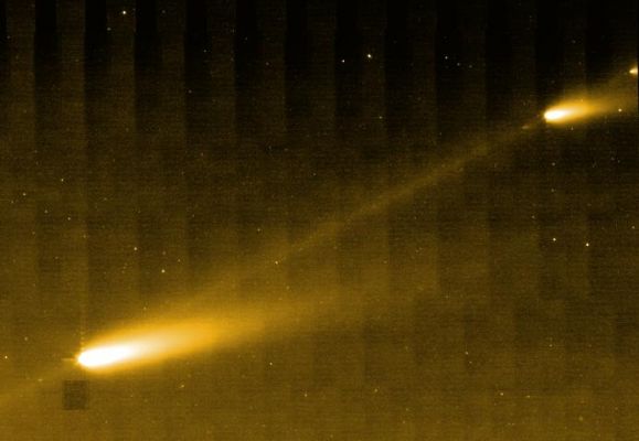 Comet Schwassmann-Wachmann 3 from SST
This image from NASA's Spitzer Space Telescope (SST) shows three of the many fragments making up Comet 73P/Schwassman-Wachmann 3. The infrared picture also provides the best look yet at the crumbling comet's trail of debris, seen here as a bridge connecting the larger fragments. 
The comet circles around our Sun every 5,4 years. 
In 1995, it splintered apart into four pieces, labeled "A" through "D", with "C" being the biggest. Since then, the comet has continued to fracture into dozens of additional pieces. This image is centered about midway between fragments "C" and "B"; fragment "G" can be seen in the upper right corner. 

The comet's trail is made of dust, pebbles and rocks left in the comet's wake during its numerous journeys around the sun. Such debris can become the stuff of spectacular meteor showers on Earth. 

This image was taken on April 1, 2006, by Spitzer's Multi-Band Imaging Photometer using the 24-micron wavelength channel.
Parole chiave: From Space Images - SST