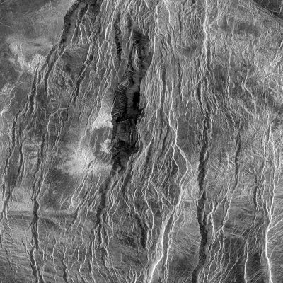 Magellan Probe: radio image of Balch Crater
I risultati di tutte queste analisi e studi ci dicono che Venere NON mostra segni di attività tettonica (che sia almeno in parte assimilabile a quella esistente sulla Terra) in corso. 
Oltre l'85% della superficie del Pianeta è ricoperta da uno strato di lava (o, comunque, da prodotti derivanti da eventi vulcanici) mentre il 15% residuo è costituito da cinture montuose altamente irregolari ("highly deformed mountain belts", si legge nel rapporto finale). 
Parole chiave: Naked Venus