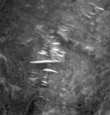 The "Bridges" of Becquerel Crater: The Bridges (Original NASA/MGS/MSSS b/w Frame - EDM)
Allora, che cosa ne pensate?
Che cosa stiamo guardando questa volta? 
Dei 'ponti' realizzati con tecniche a noi sconosciute (notate il fatto che alcuni 'ponti' sono perfettamente dritti ed altri leggermente arcuati...)? 
O forse dei "tunnel a cielo aperto" che collegano insediamenti sotterranei realizzati nei rilievi situati ad Ovest di Becquerel Crater con le pareti esterne del Cratere?
O Vi fa 'stare meglio' il fatto di pensare che si tratti di qualche incredibile ed inspiegabile 'Opera della Natura'?

Rispondere, oggi, è impossibile. Ma MostrarVi queste Anomalie e invitarVi a studiarle ci sembra doveroso...
Parole chiave: Mars from orbit - Craters - Becquerel Crater - Controversial