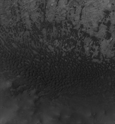 Beautiful Becquerel Crater (1)
The mound of layered rock near the center of Becquerel Crater (2,6° North and 8,2° West) is one of the best examples of sedimentary rocks on Mars. This location has been suggested as a possible target for the 2009 Mars Science Laboratory Rover Mission. An interesting attribute of this mound is that most of the actual rock is light-toned. The darker bands seen in this image are actually dark, wind-blown sediment that has been trapped on the surface by the small escarpments associated with each layer. The source of this dark sediment is the sand dune fields to the north and south of the layered mound. 
North is towards the top of the 5 images and the Sun is shining from the left. 

Parole chiave: Mars from orbit - Craters - Becquerel Crater