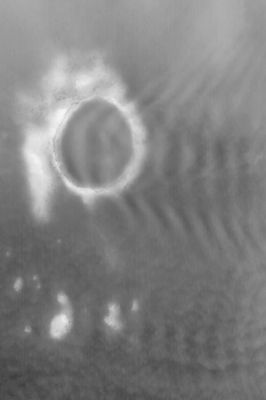 Frost and Wavy Clouds on Kunowsky Crater (Original NASA/MGS/MSSS b/w Frame)
Caption NASA originale:"This red wide angle MGS-MOC image, acquired in March 2004, shows Kunowsky Crater ringed by seasonal Frost. Kunowsky Crater is about 67 Km (~42 mi) in diameter. Wavy Clouds form to the East of the Crater in early Spring as winds circulate from West to East. The Crater is located at about 57,1° North Lat. and 9,7° West Long.". 
Parole chiave: Mars from orbit - Craters - Kunowsky Crater