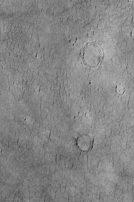 Unnamed Buried Craters in Utopia Planitia (Original NASA/MGS/MSSS b/w Frame)
Caption NASA:"This Mars Global Surveyor (MGS) Mars Orbiter Camera (MOC) image shows a cracked Plain in Western Utopia Planitia. The three circular crack patterns indicate the location of three buried Unnamed Impact Craters. These landforms are located near 41,9° North Lat. and 275,9° West Long. The image covers an area approximately 3 km (about 1,9 mi) across. Sunlight illuminates this scene from the lower left".
Parole chiave: Mars from orbit - Craters - Unnamed Buried Craters