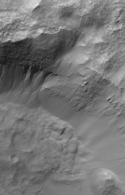 On the edge... (Original NASA/MGS/MSSS b/w Frame)
Caption NASA originale:"This MGS-MOC image shows gullies on the Wall of a Martian South Mid-Latitude Unnamed Impact Crater. The Channels in each Gully head beneath an eroding overhang of layered rock, providing support for the hypothesis that some (if not all) Martian Gullies result from release of groundwater to the Surface".

Location near: 33,0° South Lat. and 213,4° West Long.
Image width: ~3 Km (~1,9 mi)  
Illumination from: upper left  
Season: Southern Autumn
Parole chiave: Mars from orbit - Craters - Unnamed Crater with Gullies