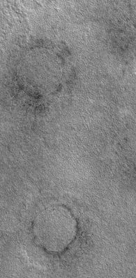 Old Buried Unnamed Craters in Northern Utopia Planitia (Original NASA/MGS/MSSS b/w Frame)
Original caption:"This MGS-MOC image shows 2 circular features on the Plains of Northern Utopia. A common sight on the Martian Northern Plains, these rings indicate the locations of Buried Impact Craters".

Location near: 65,1° North Lat. and 261,2° West Long.
Image width: ~2 Km (~1,2 mi)  
Illumination from: lower left  
Season: Northern Summer
Parole chiave: Mars from orbit - Craters (old semi-buried craters)