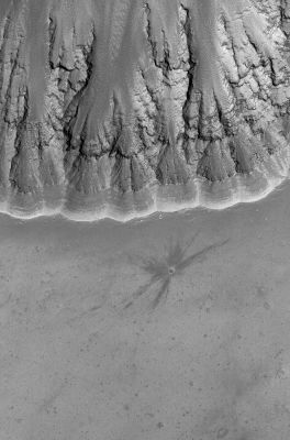 Fresh Crater (Original NASA/MGS/MSSS b/w Frame)
Caption NASA originale:"This MGS-MOC image shows a relatively Fresh Crater with dark, rayed Ejecta on an upland plain above one of the many depressions in the Eastern Labyrinthus Noctis Region. The presence of the dark rays emanating from the Crater suggests that the impact was a relatively recent event compared to other Craters of similar diameter in the scene. Over time, the dark Ejecta will fade and blend in with its surroundings, owing to settling of Dust from the Atmosphere".

Location near: 9,7° South Lat. and 94,8° West Long.
Image width: ~3 Km (~1,9 mi)  
Illumination from: upper left  
Season: Southern Summer
Parole chiave: Mars from orbit - Craters - Unnamed and (relatively) Fresh Crater