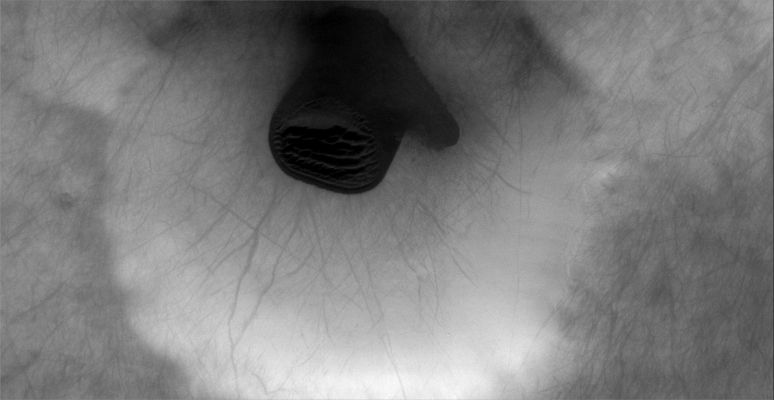 Unnamed Southern Crater with possible surfacing Hydrocarbons (Original NASA/2001 Mars Odyssey Orbiter b/w Frame)
Image information: VIS instrument;
Latitude: - 68,1° North;
Longitude: 175,6° East;
Resolution: 17 meter/pixel.

Nota: quello che la NASA chiama "Mitten-like Dune Field" (e cioè un'area ricoperta di dune avente l'apparenza - forma - di un guanto) ci sembra, in realtà ed una volta effettuata un'analisi un pò più particolareggiata di questa immagine, una sorta di "palude". 
Non ci è ovviamemte possibile essere definitivi, ma la "sensazione" che sul fondo di questo cratere - posto ad una medio-alta latitudine Sud - vi sia una sorta di "denso liquame scuro" (un giacimento di idrocarburi affioranti, magari? O un "laghetto" di Metano?...) è molto forte e precisa.
Parole chiave: Mars from orbit - Craters - Unnamed Crater with possible Surfacing Hydrocarbons