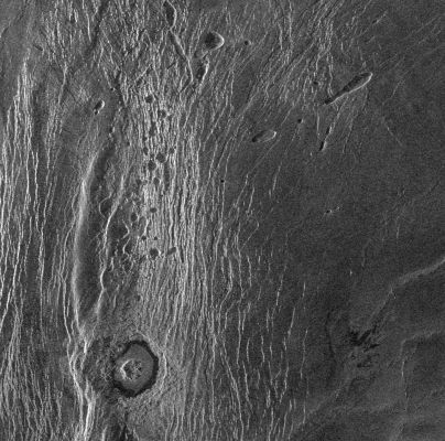 Magellan Probe: radio image of "Wanda" Impact Crater in Akna Montes
Caption NASA originale:"This Magellan full-resolution image show the northern part of the Akna Montes. The Akna range is a North-South trending ridge belt that forms the western border of the elevated smooth plateau of Lakshmi Planum. The Lakshmi plateau plains are formed by extensive volcanic eruptions and are bounded by mountain chains on all sides. The plains appear to be deformed near the mountains. This suggests that some of the mountain building activity occurred after the plains formed. An impact crater (Official International Astronomical Union name 'Wanda,' mapped first by the Soviet Venera 15/16 mission in 1984 at LR) with a diameter of 22 Km was formed by the impact of an asteroid in the Akna mountains. The crater has a rugged central peak and a smooth radar-dark floor, probably volcanic material. The crater does not appear to be much deformed by later crustal movement that uplifted the mountains and crumpled the plains".
Parole chiave: Naked Venus
