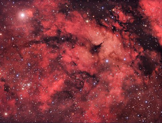 NGC 6910, IC 1318 and 1318B - Cygnus Region
"...Bene qui latuit, bene vixit..."

(Ovidio)

"...Chi ha vissuto lontano dai tumulti (dal trambusto del - presunto - vivere civile), ha vissuto bene..."
Parole chiave: From Earth Images