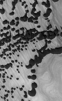 Dark Dunes in Chasma Boreale (Original NASA/JPL/MSSS b/w Frame)
Caption NASA originale:" This MGS-MOC image shows Dark Sand Dunes overlying an eroded, layered substrate in Chasma Boreale, amid the materials of the Martian North Polar Cap.

Location near: 84,5° North Lat. and 358,3° West Long.
Image width: ~3,0 Km (~1,9 mi) 
Illumination from: lower left 
Season: Northern Summer".
Parole chiave: Mars from orbit - Dunes - Chasma Boreale
