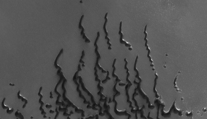 Migrating Dunes (Original NASA/MGS/MSSS b/w Frame)
Caption NASA originale:"This MGS-MOC image shows a suite of dunes in one of the several North Polar Dune Fields. The bright surfaces adjacent to some of the dunes are patches of frost. These dunes spend much of the Autumn, Winter, and Spring seasons covered with CO2 frost. Only in late Spring and in Summer are the dark windblown sands fully exposed. 
Over the course of the 9+ years of the MGS mission, the MOC team has sought evidence that sand dunes may be migrating downwind over time. However, no clear examples of the movement of a whole dune have been identified. On Earth, such movement is typically detectable in air photos of the smallest active dunes over periods of a few years. Owing to the fact that the North Polar Dunes spend much of each Martian Year under a cover of frost, perhaps these move much more slowly than their frost-free, terrestrial counterparts. The sand may also be somewhat cemented by ice or minerals, likewise preventing vigorous dune migration in the present environment. 

This view covers an area approximately 3 km (1.9 mi) wide and is illuminated by sunlight from the lower left. The dunes are located near 79.8°N, 127.1°W, and the picture was acquired on 11 September 2006.

Parole chiave: Mars from orbit - North Polar Features - Dunes