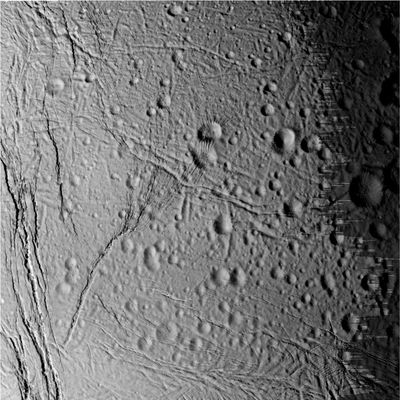 Enceladus fly-by (13) - from approx. 27.000 Km
Forse uno dei frames più belli del fly-by: espandendo il frame sino al full-size va guardata e studiata la "tessitura" dei canali che attraversano una gran parte della superficie di Encelado e la rendono - anche visivamente - profondamente enigmatica.
La sensazione, osservando con molta cautela (e con l'ausilio di un piccolo software), è che stiamo osservando diversi strati di canali, alcuni recenti e leggeri, altri molto più antichi, meno superficiali e decisamente profondi.
La tenue atmosfera che circonda Encelado (notate come il bordo del Pianeta è sempre - leggermente - offuscato) è indice del fatto che esiste ancora un'attività geologica residuale al suo interno la quale lo rende - se così possiamo dire - "vivo ed attivo".
Attività geologica a parte, comunque, quale possa essere la reale causa di questa fittissima ed estremamente diversificata rete di canali crediamo che resterà un mistero ancora per molto tempo.
Parole chiave: Saturn's Moons - Enceladus