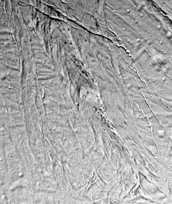 Enceladus "tormented" surface
Caption NASA originale:"This HR image from Cassini shows a region of "smooth plains" terrain on the surface of Saturn's moon Enceladus, located slightly north of the equator on the moon's Saturn-facing hemisphere. The area is about 70 by 84 Km. 
The image shows a variety of tectonic features that attest to Enceladus' dynamic geological history. At the top of the image is a relatively fresh-looking crevasse system with individual fractures more than a kilometer wide. The crevasse system cross-cuts a complex NE-to-SW-trending system of older faults. A 12-Km-wide band of crudely aligned, chevron-shaped features runs down the center of the image. Among the most intriguing features in this view are a series of dark, small spots, 125 to 750 meters in diameter. 
The "dark spots" often seem to be aligned in chains parallel to narrow fractures. The contrast of the dark features with the surrounding bright terrain suggests that they may be compositionally distinct, but their origin is a new mystery". 
Parole chiave: Saturn's Moons - Enceladus