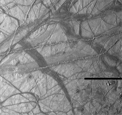 Ridges on Europa
This view of Jupiter's moon Europa shows a portion of the surface that has been highly disrupted by fractures and ridges. This picture covers an area about 238 Km (approx. 150 miles) wide by 225 Km (about 140 miles); in other words, the distance between Los Angeles and San Diego. Symmetric ridges in the dark bands suggest that the surface crust was separated and filled with darker material, somewhat analogous to spreading centers in the ocean basins of Earth. Although some impact craters are visible, their general absence indicates a youthful surface. The youngest ridges, such as the two features that cross the center of the picture, have central fractures, aligned knobs, and irregular dark patches. These and other features could indicate cryovolcanism, or processes related to eruption of ice and gases.
This picture, centered at 16° South Lat. and 196° West Long., was taken at a distance of 40.973 Km (about 25.290 mi) on November 6, 1996, by the Galileo spacecraft Solid State Imaging Television Camera.
Parole chiave: Jupiter's Moons: Europa