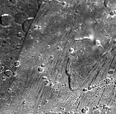 Calderas on Ganymede?
The shallow, scalloped depression in the center of this picture from NASA's Galileo spacecraft is a caldera-like feature 5 to 20 Km (3 to 12 miles) wide on Jupiter's largest moon, Ganymede.
Calderas are surface depressions formed by collapse above a subsurface concentration of molten material. Some shallow depressions in bright, smooth areas of Ganymede have some overall similarities to calderas on Earth and on Jupiter's moon Io. On Ganymede, caldera-like depressions may serve as sources of bright, volcanic flows of liquid water and slush - an idea supported by a Ganymede photo obtained by Galileo during its seventh orbit (PIA01614). In the more recent image here, from Galileo's 28th orbit, a tall scarp marks the western boundary of a caldera-like feature. The western scarp is aligned similarly to older tectonic grooves visible in the image, suggesting the feature has collapsed along older lines of weakness. The interior is mottled in appearance, yet smooth compared to most of Ganymede's bright terrain seen at high resolution. The eastern boundary of the caldera-like feature is cut by younger, grooved terrain. Small impact craters pepper the scene, but the lack of a raised rim argues against an impact origin for the caldera-like feature itself. Instead, water-rich icy lava may have once flowed out of it toward the east. If so, later tectonism could have erased any telltale evidence of volcanic flow fronts. Direct evidence for icy volcanism on Ganymede continues to be elusive.

North is to the top of the picture and the Sun illuminates the surface from the left. The image, centered at -24 degrees latitude and 318degrees longitude, covers an area approximately 162 by 119 kilometers(101 by 74 miles). The resolution is 43 meters (141 feet) per picture element.

Parole chiave: Jupiter Moons - Ganymede