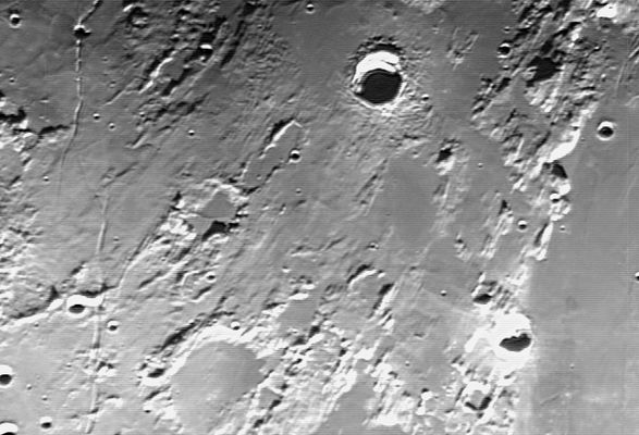 Hyginus and Ariadaeus rilles and Manilius Crater
nessun commento
Parole chiave: The Moon from Earth - Amatorial Pictures