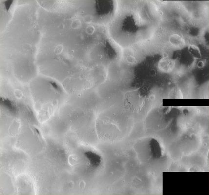 Hyperion's unusual craters (2) - HR
Original caption:"Scientists will also be examining Cassini's sharp views to try to determine whether there have been multiple episodes of landslides on Hyperion. Such "downslope" movement is evident in the filling of craters with debris and the near elimination of many craters along the steeper slopes. Answers to these questions may help solve the mystery of why this object has evolved different surface forms from other moons of Saturn.

The images comprising this mosaic were taken with the Cassini spacecraft narrow-angle camera at distances ranging from approximately 8.500 Km (about 5.300 miles) to 4.600 Km (about 2.900 miles) from Hyperion. Image scale is 26 mt (about 85 feet) per pixel".
Parole chiave: Saturn's Moons - Hyperion