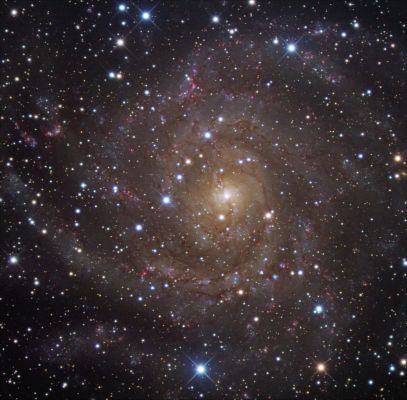 IC 342 - Spiral Galaxy
"...E quando alfin l'Ora Fatale è giunta,
Forza, ingegno non val, non valgon prieghi;
Contro il Destin non la si vince e spunta,
E tutto sotto lui forza è che pieghi..."

(Casti)
Parole chiave: From Earth Pictures - Professional Pictures