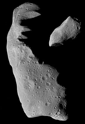 Asteroid Ida and 951-Gaspra
This picture shows the asteroids Ida and Gaspra to the same scale. These images were taken by the Galileo spacecraft while enroute to Jupiter. Gaspra was imaged on October 29, 1991, at a range of about 5.300 Km) while Ida was imaged on August 28, 1993, from a range of about 3.000 to 3.800 Km. Both objects are irregular in shape. 
Gaspra is about 17 Km long while Ida's dimensions are approx 9,3 x 12,7 x 29,9 km. 
These asteroids are just two of the billions of such rocky and metallic objects that orbit the Sun, mainly between Mars and Jupiter (but a small percentage of other similar objects orbit near the other planets). 
The irregular shapes of these objects suggests that they are "chips" derived from larger bodies by catastrophic collisions between asteroids. 
The surface of Ida and Gaspra are peppered by small craters, evidence of much smaller collisions. 
Craters are more abundant on Ida, thereby suggesting that it formed earlier than Gaspra.
Both asteroids have linear depressions over a thousand feet wide in places and a hundred feet or so deep; these depressions may be where loose fragmental soil (the "regolith") has partly drained into fractures. These asteroids show evidence of having such a fragmental layer, which on Ida may be 165 to 330 feet (50 to 100 m deep). The fragmental debris layers on asteroids may one day prove invaluable to space miners, who may obtain asteroids everything from precious metals for use on Earth to water destined for use in space. Asteroids are also important to life on Earth because sometimes their orbits wander across Earth's and collisions ensue. About 2,000 asteroids larger than 0.6 miles across presently have orbits that cross or come close to Earth's orbit. Impacts with objects as large as Gaspra and Ida are very rare, but they have occurred in the past and are capable of causing mass extinctions of almost everything that lives on our planet.
Parole chiave: Asteroid Ida and Gaspra