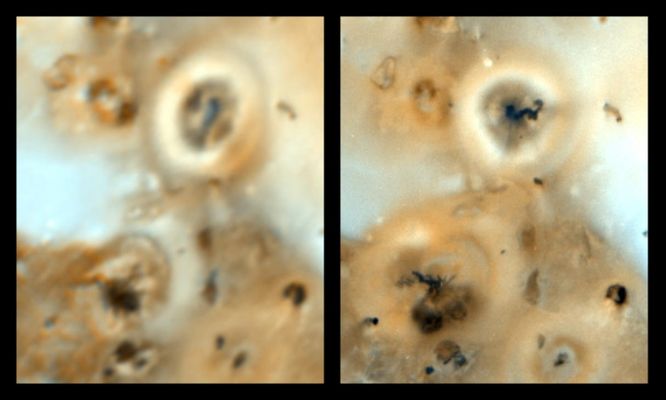 As Time Goes By...On Io!
Volcanoes on Jupiter's moon Io are compared in these images from Galileo spacecraft (right) taken in early September of 1997 and from the Voyager spacecraft (left) taken in 1979. Prometheus (bright ring in upper right) was first seen as an erupting volcano by the Voyager spacecraft and still features an active plume. A smaller active plume was discovered at the volcano Culann Patera (dark feature at lower left) by the Galileo spacecraft. Prometheus has displayed similar characteristics such as size, shape and brightness to Galileo's cameras as it did to Voyager's. However, several intriguing differences are also apparent. There appears to be a new dark lava flow emanating from the vent of Prometheus, and the plume is now erupting from a position about 75 Km (about 46,5 miles) west from where the hot spot resided in 1979. It is not known if the plume source is the same or if the plume is now emanating from a new source. Overall, scientists studying Galileo images of Io see that a wide variety of surface changes have occurred on Io since 1979. The Galileo image was taken at a range of about 487,000 kilometers (about 302,000 miles) from Io. The Voyager image was taken from about 800,000 kilometers (about 500,000 miles).

Parole chiave: Jupiter Moons - Io