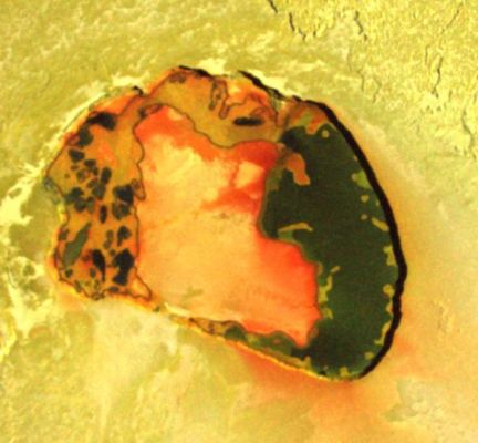 Io: Tupan Patera
Wonderful colors in a volcanic crater named Tupan Patera on Jupiter's moon Io, as seen in this image from NASA's Galileo spacecraft, show varied results of lava interacting with sulfur-rich materials.

The colorfulness of the image is only slightly enhanced from what the human eye would see on the scene. The red in the image includes a small amount of infrared energy. Tupan Patera, named after a Brazilian thunder god, was seen as an active hot spot in earlier Galileo observations, but those low-resolution views did not show details of volcanic activity. This image taken in October 2001 at a resolution of 135 meters (443 feet) per picture element reveals the complex nature of the crater.

Tupan is now clearly shown to be a volcanic depression, about 75 kilometers (47 miles) across, surrounded by cliffs about 900 meters (3000 feet) tall. In the center is a large area that must be higher than the rest of the crater floor because it has not been covered by the dark lavas. Much of the area is coated with a diffuse red deposit that Galileo scientists believe has condensed from sulfur gas escaping from volcanic vents. The floor of Tupan is covered with a surreal pattern of dark black, green, red, and yellow materials. The black material is recent, still-warm lava. The yellow is presumed to be a mix of sulfurous compounds, and the green appears to form where red sulfur has interacted with the dark lavas. While Galileo scientists have found previous evidence for both molten sulfur and molten rock on Io, this image shows the best evidence to date of chemical reactions taking place between the two.

The intermingled patches of sulfur and lava are difficult to explain. The yellowish sulfur may be melting from within the crater walls over solidified but warm lava. The sulfur may boil away from the areas too hot for liquid sulfur to sit on, leaving patches where the dark lava is still visible.

North is to the top of the image and the Sun illuminates the surface from the upper right.


Parole chiave: Jupiter's moons - Io