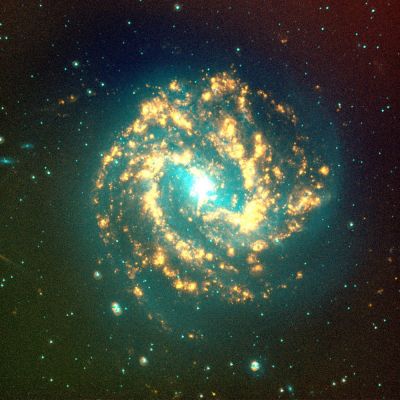 J 1337-29 - Spiral Galaxy
"...Rebus in angustis facile est contemnere vitam; 
Fortiter ille facit, qui miser esse potest..."

(Marziale)

"...nelle sventure è facile disprezzare la vita; ma rende forti il saperle sopportare..." (lett.: rende uomini il saper essere miseri)
Parole chiave: From Space Images - Chandra X-Ray Telescope
