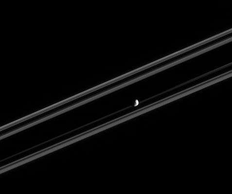 Janus rides the Rings
Caption NASA originale:"Cassini was nearly in the plane of Saturn's Rings when it took this image of Janus. The nearly edge-on rings appear almost ribbon-like in this view and some surface detail is visible on the small moon. The image was taken in visible light with the Cassini spacecraft narrow-angle camera on Feb. 18, 2005, at a distance of approximately 911.000 Km from Janus and at a phase angle of 101°. The image scale is 5 Km per pixel".
Parole chiave: Saturn's Moons - Janus