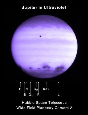 Jupiter in ultraviolet light, after being struck by Shoemaker-Levy 9
Ultraviolet image of Jupiter taken by the Wide Field Camera of the HST. The image shows Jupiter's atmosphere at a wavelength of 2550 Angstroms after many impacts by fragments of comet Shoemaker-Levy 9. The most recent impactor is fragment R which is below the center of Jupiter (third dark spot from the right). This photo was taken 3:55 EDT on July 21, 1994, about 2,5 hours after R's impact. A large dark patch from the impact of fragment H is visible rising on the morning (left) side. Proceeding to the right, other dark spots were caused by impacts of fragments Ql, R, D and G (now one large spot) and L, with L covering the largest area of any seen thus far. 
The spots are all very dark in ultraviolet light because - we think - a large amount of dust, right after the impacts, was being deposited on the upper layers of Jupiter stratosphere - and dust absorbs Sunlight. 
The dark, round spot just above the center of Jupiter is the moon "Io".
Parole chiave: Hubble Images - Jupiter