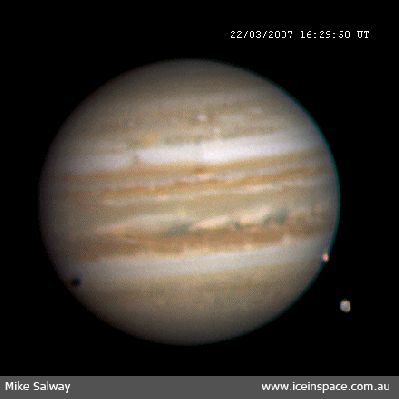 Watch Jupiter and some of His Moons rotate! (GIF-Movie)
Caption NASA:"South is toward the top in this frame from a stunning movie featuring Jupiter and moons recorded last Thursday from the Central Coast of New South Wales, Australia. In fact, three Jovian Moons and two red spots are ultimately seen in the full video as they glide around the Solar System's ruling gas giant. In the early frame above, Ganymede, the largest moon in the Solar System, is off the lower right limb of the Planet, while intriguing Europa is visible against Jupiter's cloud tops, also near the lower right. Jupiter's new Red Spot junior is just above the broad white band in the Planet's Southern (upper) Hemisphere. In later frames, as Planet and moons rotate (right to left), red spot junior moves behind Jupiter's left edge while the Great Red Spot itself comes into view from the right. Also finally erupting into view at the right, is Jupiter's volcanic moon, Io (...)". 

Note: click on the frame to see the movie
Parole chiave: GIF Movie - Jupiter & Companions