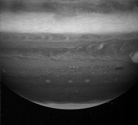 Jupiter's clouds - 890 nnmts filter
To the North-West (above and to the left) of the dark feature is a small cloud that is bright in the 619-nnmts image but has no contrast at the other wavelengths. This is the signature expected for a thick water cloud. Another feature seen only in the weak-methane ratio is a dark ring near the center of the image. 
This feature is probably a counter-clockwise rotating, upwelling core surrounded by a sinking perimeter with diminished cloudiness. The fact that it is seen only in the weak methane ratio indicates the effects of a lower-level circulation that does not penetrated to the upper ammonia cloud level and may be confined to the deeper water cloud.

The opposite behavior is evident in an oval storm that appears dark in 727 and 890 nnmts images, but is absent in the weak 619-nnmts frame. It is located to the South-West of the Great Red Spot. Further to the West - at slightly more Northerly Latitudes - are a series of small spots that are dark at all wavelengths. 
These and a myriad of other contrast features at many latitudes reveal much about Jupiter's complicated cloud structure and meteorology.
Parole chiave: Jupiter