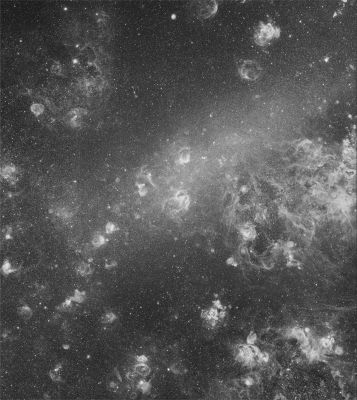 The Large Cloud of Magellan (HR)
An alluring sight in dark Southern skies, the Large Magellanic Cloud (LMC) is seen here through a narrow filter that transmits only the red light of Hydrogen Atoms. Ionized by energetic starlight, a Hydrogen Atom emits the characteristic red H-alpha light as its single electron is recaptured and transitions to lower energy states. As a result, this image of the LMC seems covered with shell-shaped clouds of Hydrogen gas surrounding massive, young stars. Sculpted by the strong stellar winds and ultraviolet radiation, the glowing Hydrogen clouds are known as "H-II" (such as Ionized Hydrogen) Regions. This HR mosaic view was recorded in 6 segments, each with 200 minutes of exposure time. Itself composed of many overlapping shells, the Tarantula Nebula, is the large star forming Region near top center. A satellite of our Milky Way Galaxy, the LMC is about 15,000 light-years across and lies a mere 180.000 LY away in the constellation known as Dorado.
Parole chiave: From Earth Images