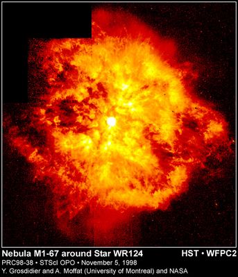 Nebula M 1-67 around Star WR 124
"...Science Fiction writers foresee the inevitable, and although problems and catastrophes may be inevitable, solutions are not..."

Isaac Asimov (1920-1992) - "How Easy to See the Future"
Parole chiave: Hubble Images
