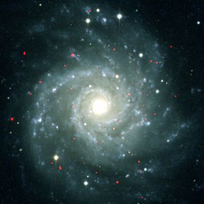 Ultraluminous X-Ray sources in M 74
Da "NASA - Picture of the Day" del 30.03.2005:"In visual appearance, M74 is a nearly perfect face-on spiral galaxy, about 30 million LY away toward the constellation Pisces. The red blotches seen in this composite view are ultraluminous x-ray sources (ULXs) mapped by the Chandra X-ray Observatory. The ULXs are so called because they actually do radiate 10 to 1.000 times more x-ray power than "ordinary" x-ray binary stars, which harbor a neutron star or stellar mass black hole. In fact, watching these ULXs change their x-ray brightness over periods of 2 hours or so, astronomers conclude that ULXs could well be intermediate mass black holes - black holes with masses 10.000 times or so greater than the Sun, but still much less than the million solar mass black holes which lurk in the centers of large spiral galaxies. How did these intermediate mass black holes get there? One intriguing suggestion is that they are left over from the cores of much smaller galaxies that are merging with spiral galaxy M74".
Parole chiave: From Earth Images