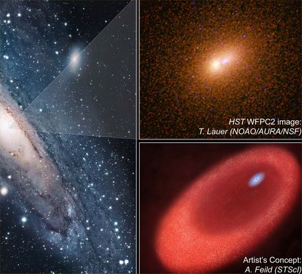 The "strange nucleus" of M 31
"...Curios simulant et Bacchanalia vivunt..."

(Giovenale)

"...Imitano (l'austerità) dei Curii, ma vivono nei Baccanali..."

(detto dei politici i quali, pubblicamente, simulano austerità e solennità di comportamento - come il loro ruolo richiederebbe -, mentre in realtà sono solo dei cialtroni che vivono, grazie alla posizione che hanno raggiunto, in una "Festa Perenne", e cioè spassandosela alle spalle del popolo)
Parole chiave: From Earth Images - Hubble Images