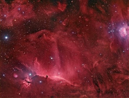 M 43 - The Region of the "Horse-Head Nebula"
"...Vulpecula denuo non capitur laqueo..."

(Proverbio Medioevale)

"...La volpe (sebbene disattenta) non cade (mai) due volte nella stessa trappola..."
Parole chiave: From Earth Images