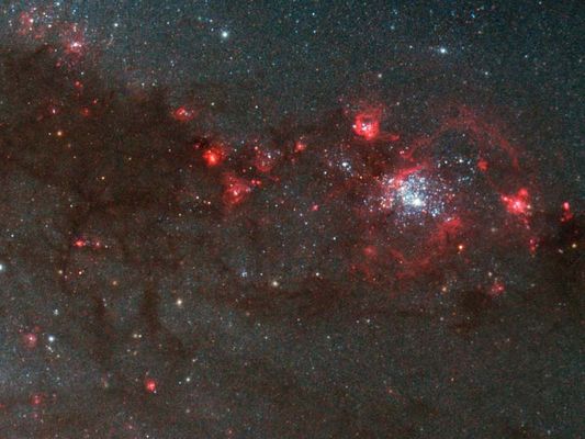 M 51 - HST (detail mgnf)
"...Vagando, fra le valli tormentate della Luna,
Mi chiedo che cosa abbiano visto davvero
Gli Uomini, i soli che hanno alzato i loro sguardi...

E non penso che poi abbia una reale importanza
La posizione, assunta dagli sciamani,
Mentre si torcono, al ritmo della loro stessa danza...

Bisogna ridere, degli altri e di noi stessi,
Per conservare una parvenza di umanità,
Quando tutto il Mondo si traveste da Inferno...

Ed il Fuoco Sacro crepita, dentro il cuore,
Spingendo il sangue verso i desideri,
Verso il domani, senza più pensieri..."

P.C. Floegers - "Poesie"
Parole chiave: Hubble Images