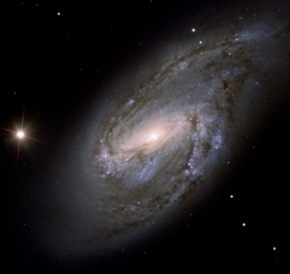 M 66 - "Barred" Spiral Galaxy
"...Ingenium quondam fuerat pretiosius auro; at nunc, barbaria est grandis habere nihil..."

(Ovidio)

"...un tempo l'Intelligenza era ritenuta più preziosa dell'oro; oggi, invece, ignorante è colui che non possiede beni (materiali)..."
Parole chiave: From Earth Pictures - Professional Pictures