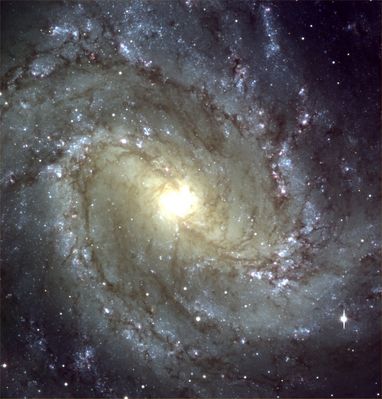 M 83 - Large Spiral Galaxy
"...La Morte è un mistero con il quale, all’uomo, non è mai riuscito di convivere in modo più vitale e proficuo di quanto, invece, non gli sia riuscito di fare con l'idea di Dio. Così, se da un lato si è rassegnato alla sua ineluttabilità, dall'altro la teme e la combatte disperatamente, lasciando testimonianze che gli sopravvivano, immaginando altre vite o affidando alla sua discendenza il proprio nome; espedienti che vorrebbero vederlo vincente in un confronto che, al contrario, ha sempre lo stesso esito e lo stesso monito. 
Eppure, io non riesco a pensare alla Morte come ad una tragedia dell'uomo; forse perché mi piace pensare all'uomo come energia in movimento che, attraversando varie dimensioni, abbandona una forma solo per poterne acquistare una nuova, senza mai perdere vitalità..."

Giuseppe Spina - "L'altra Vita"
Parole chiave: From Earth Images
