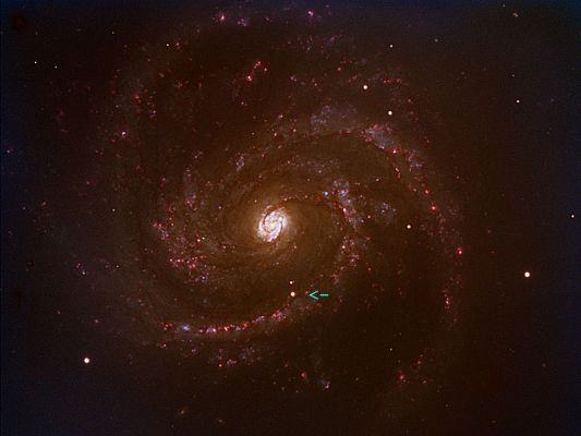 M 100 and Supernova SN 2006X
"...Nella tenzone fra quelli che sventolano la bandiera multicolore della Fede Insostanziabile e coloro che invece si trincerano nel grigiore dello Scetticismo Aprioristico, onestamente, preferisco restare a guardare e farmi due risate..."

P.C. Floegers
Parole chiave: From Earth Images