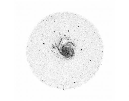 M 101 - Spiral Galaxy (full field-UV)
"...Certo è che la Natura Umana è davvero formidabile: a poco più di un secolo dalla Rivoluzione Industriale ed a 60 anni da Hiroshima, già ci ritroviamo con un Pianeta inquinato oltre ogni ragionevole limite, un'atmosfera impregnata di veleni ed un "buchetto" nell'ozono che sta ormai diventando una voragine. Insomma: in un secolo o poco più di (presunto) "sviluppo", siamo riusciti a mettere il nostro ecosistema in ginocchio. 
Poco male - si dirà -: in fondo ce ne siamo accorti in tempo e quindi possiamo curarlo! 
Certo - dico io -: infatti abbiamo già cominciato. 
Come? Semplice: redigendo Protocolli Internazionali che nessuno conosce e/o rispetta, organizzando Marce di Protesta e Giornate della Natura e poi - dulcis in fundo - quando le Autorità si rendono conto che la Popolazione non respira aria, bensì monossido di carbonio e polveri, riusciamo anche a bloccare il traffico per DODICI ore. 
Wow! Con questi "eccezionali rimedi", andremo sicuramente molto lontano..."

P.C. Floegers - "Conversations"
Parole chiave: From Space Images
