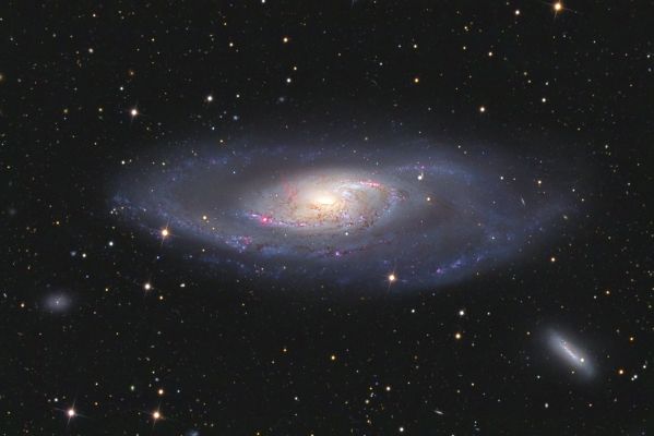 M 106 - Spiral Galaxy
"...Nisi caste, saltem caute..."

(massima attribuita ai Gesuiti)

"...Se non con pudore, almeno con cautela..."
Parole chiave: From Earth Pictures - Professional Pictures